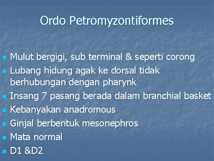 Ordo Petromyzontiformes n n n n Mulut bergigi, sub terminal & seperti corong Lubang