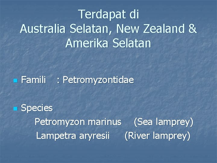 Terdapat di Australia Selatan, New Zealand & Amerika Selatan n n Famili : Petromyzontidae