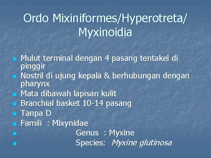 Ordo Mixiniformes/Hyperotreta/ Myxinoidia n n n n Mulut terminal dengan 4 pasang tentakel di