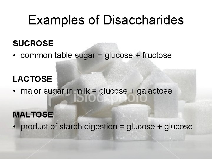 Examples of Disaccharides SUCROSE • common table sugar = glucose + fructose LACTOSE •