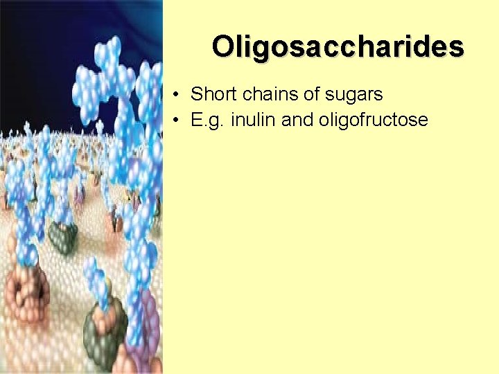 Oligosaccharides • Short chains of sugars • E. g. inulin and oligofructose 
