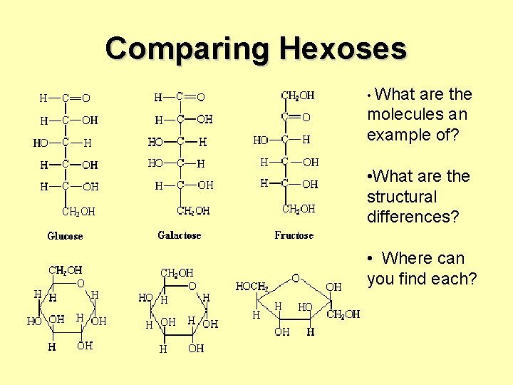 Comparing Hexoses • What are the molecules an example of? • What are the