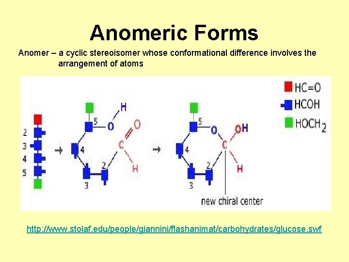 Anomeric Forms Anomer – a cyclic stereoisomer whose conformational difference involves the arrangement of