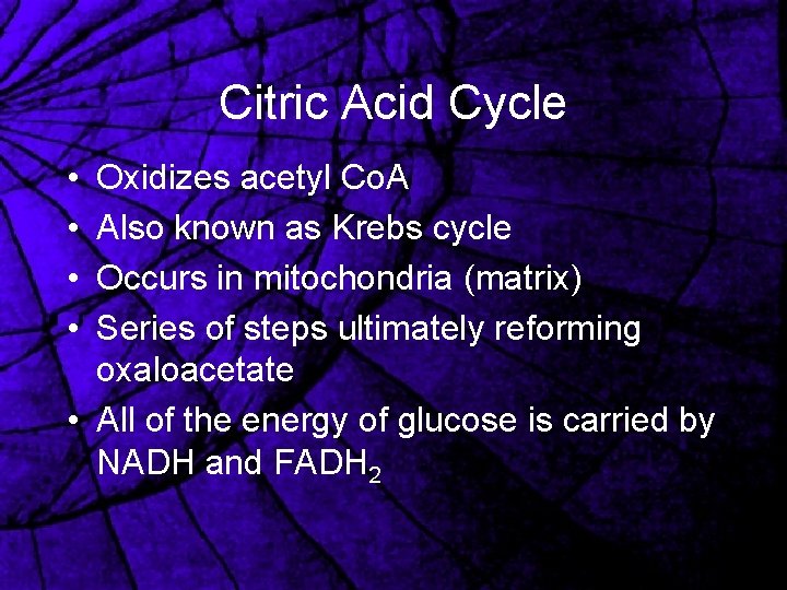 Citric Acid Cycle • • Oxidizes acetyl Co. A Also known as Krebs cycle