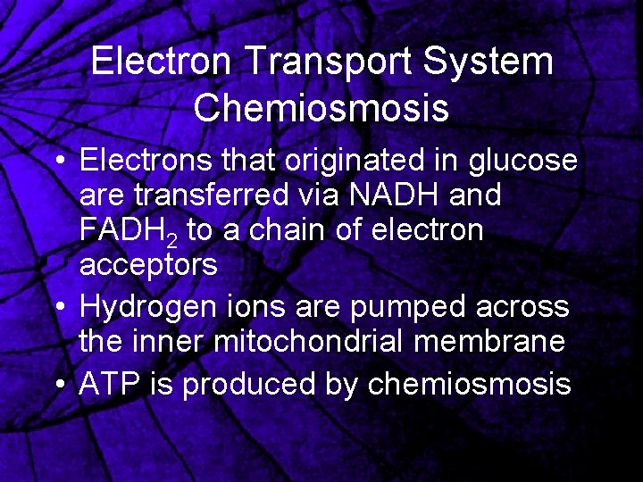 Electron Transport System Chemiosmosis • Electrons that originated in glucose are transferred via NADH