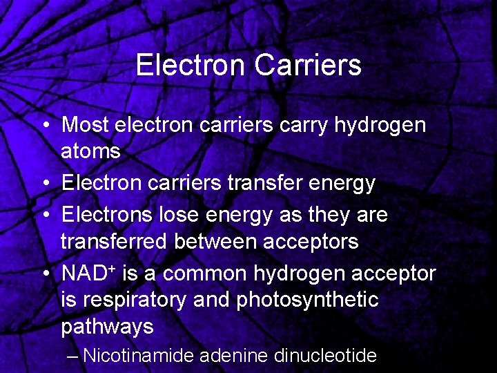 Electron Carriers • Most electron carriers carry hydrogen atoms • Electron carriers transfer energy