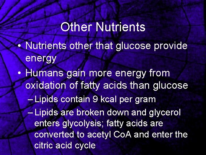 Other Nutrients • Nutrients other that glucose provide energy • Humans gain more energy