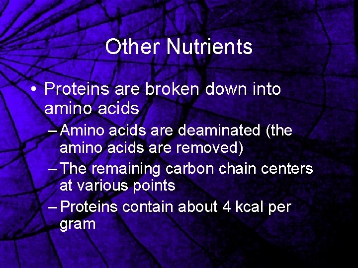 Other Nutrients • Proteins are broken down into amino acids – Amino acids are