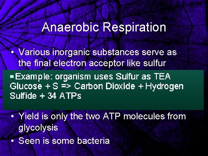 Anaerobic Respiration • Various inorganic substances serve as the final electron acceptor like sulfur