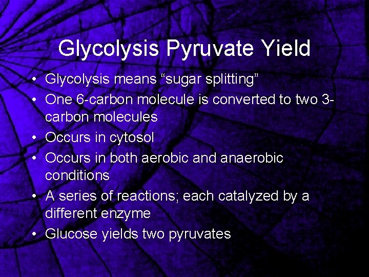 Glycolysis Pyruvate Yield • Glycolysis means “sugar splitting” • One 6 -carbon molecule is