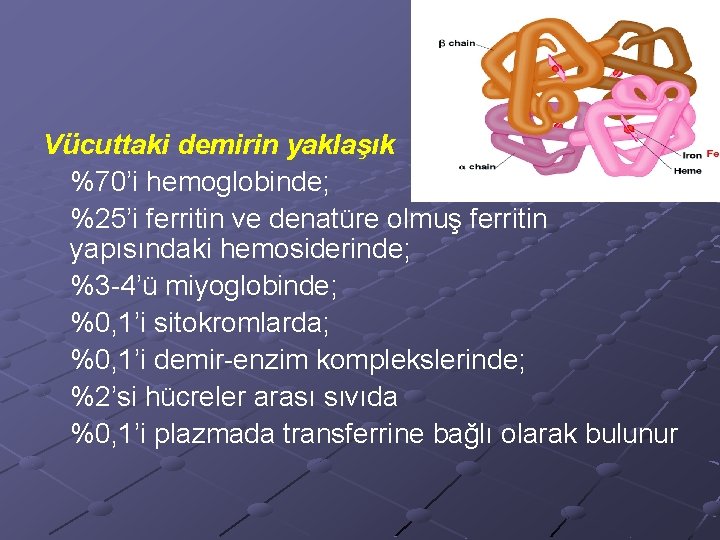 Vücuttaki demirin yaklaşık %70’i hemoglobinde; %25’i ferritin ve denatüre olmuş ferritin yapısındaki hemosiderinde; %3