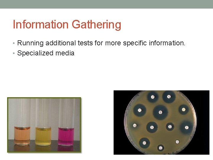 Information Gathering • Running additional tests for more specific information. • Specialized media 