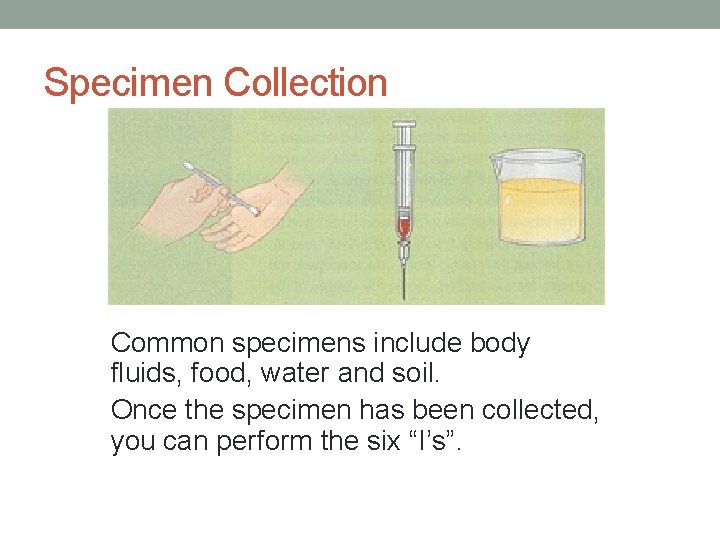 Specimen Collection Common specimens include body fluids, food, water and soil. Once the specimen