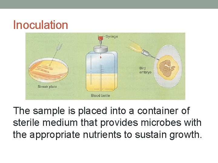 Inoculation The sample is placed into a container of sterile medium that provides microbes