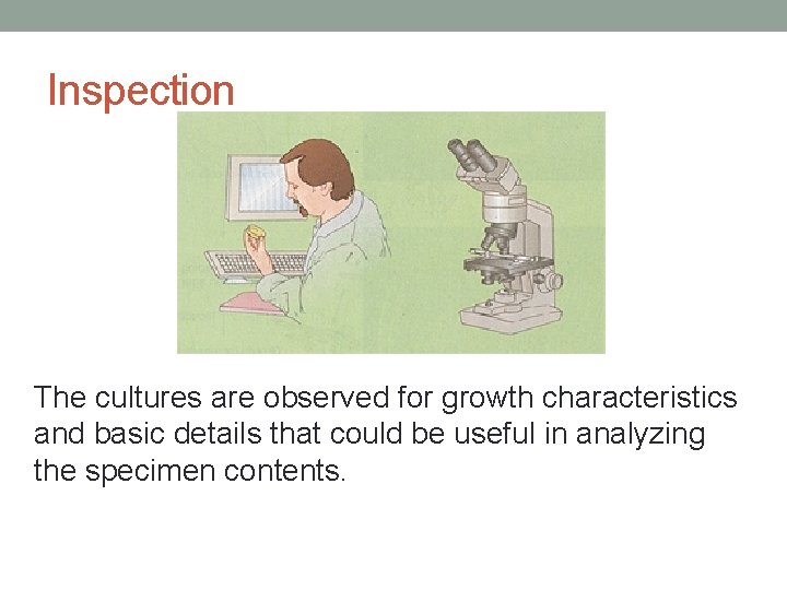 Inspection The cultures are observed for growth characteristics and basic details that could be