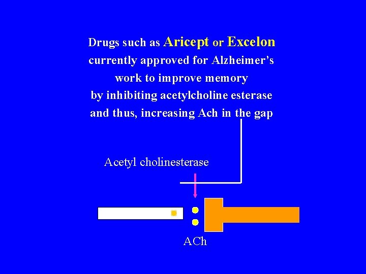 Drugs such as Aricept or Excelon currently approved for Alzheimer’s work to improve memory