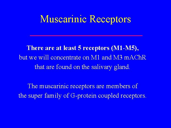Muscarinic Receptors There at least 5 receptors (M 1 -M 5), but we will