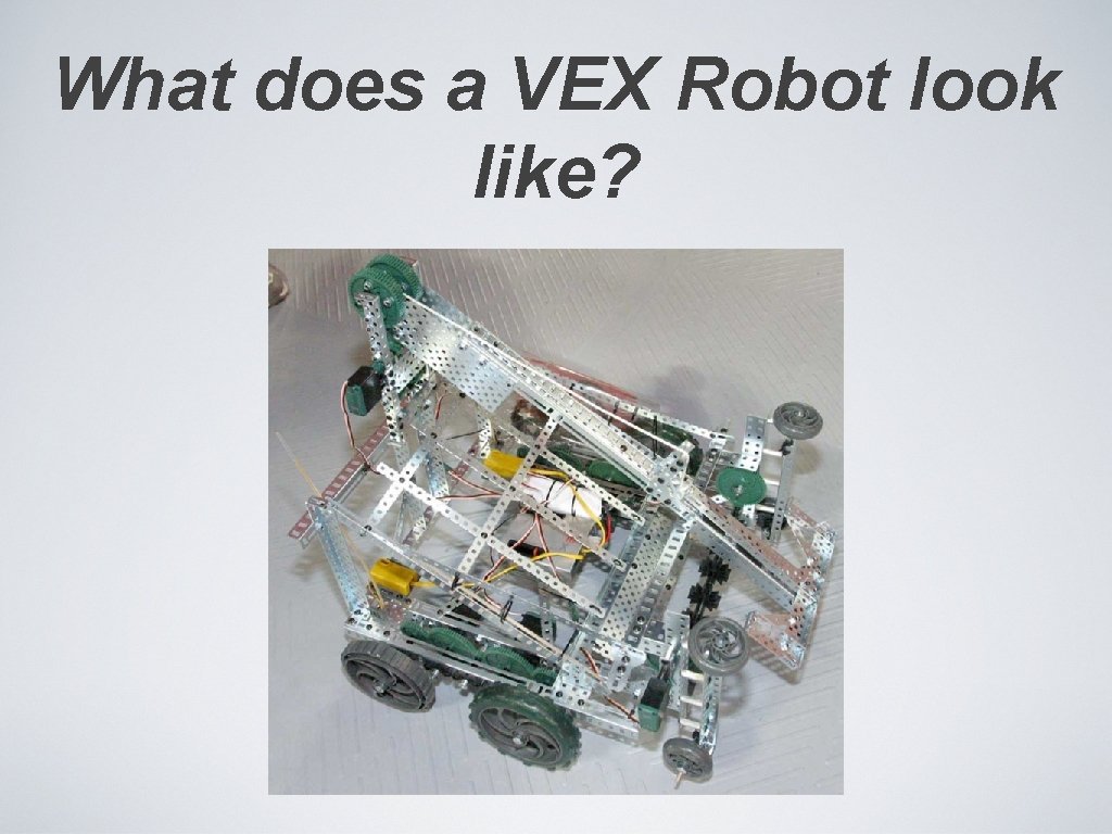 What does a VEX Robot look like? 