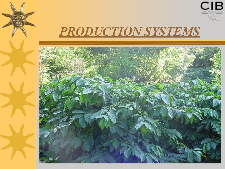 PRODUCTION SYSTEMS 