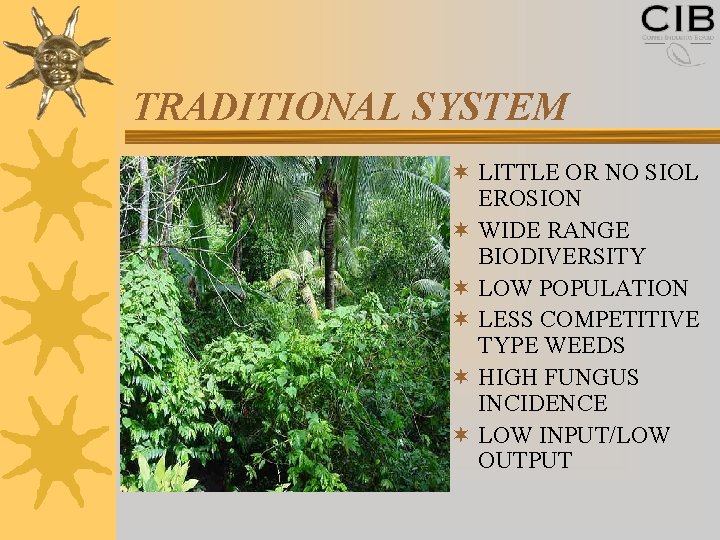 TRADITIONAL SYSTEM ¬ LITTLE OR NO SIOL EROSION ¬ WIDE RANGE BIODIVERSITY ¬ LOW