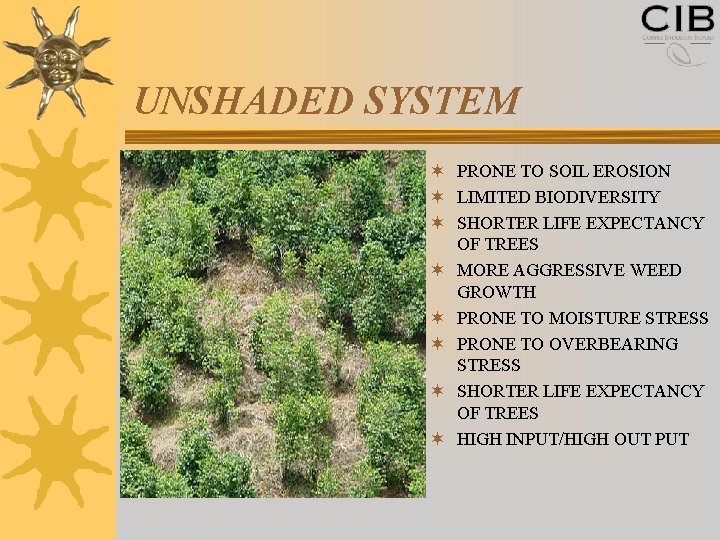 UNSHADED SYSTEM ¬ PRONE TO SOIL EROSION ¬ LIMITED BIODIVERSITY ¬ SHORTER LIFE EXPECTANCY