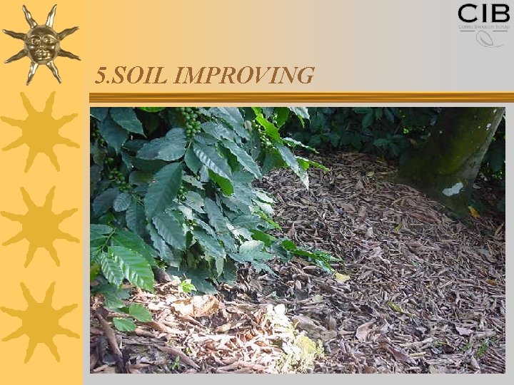 5. SOIL IMPROVING 