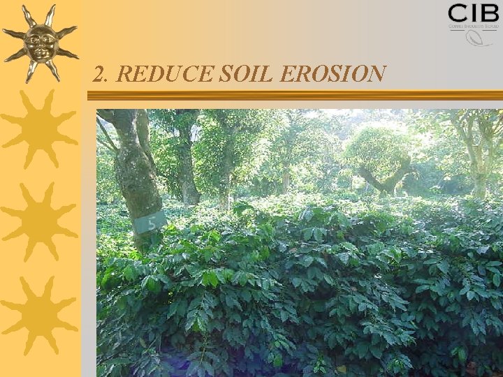 2. REDUCE SOIL EROSION 