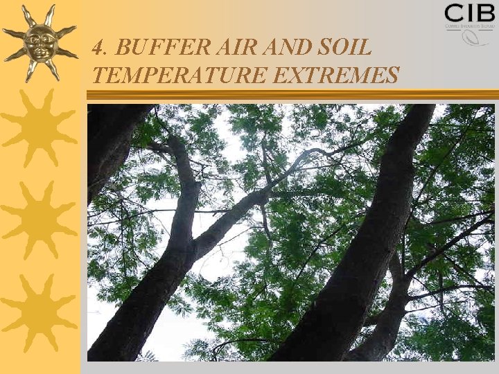 4. BUFFER AIR AND SOIL TEMPERATURE EXTREMES 