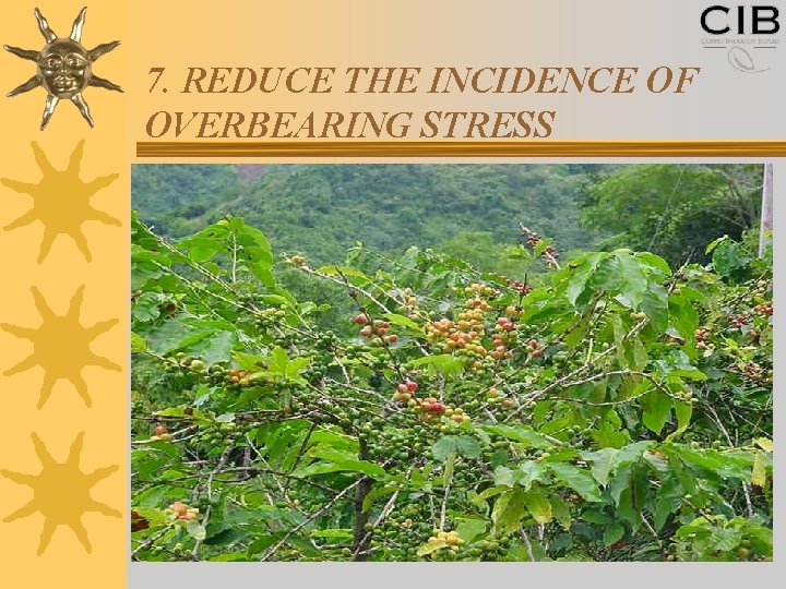 7. REDUCE THE INCIDENCE OF OVERBEARING STRESS 