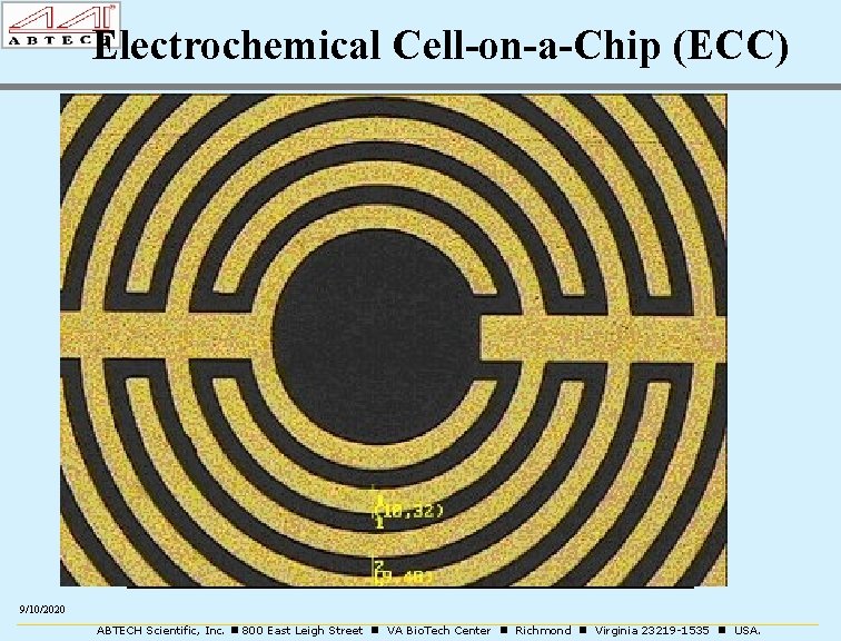 Electrochemical Cell-on-a-Chip (ECC) ECC IME XX 04, Au, Pt or ITO 1 cm XX