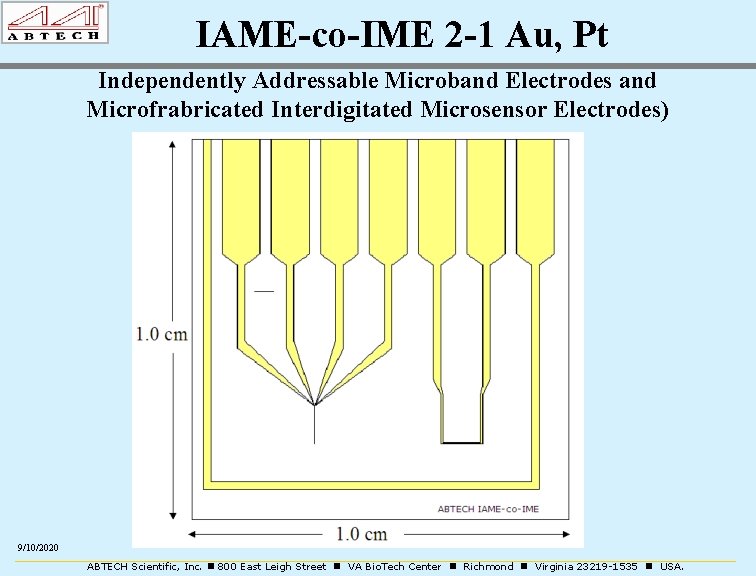 IAME-co-IME 2 -1 Au, Pt Independently Addressable Microband Electrodes and Microfrabricated Interdigitated Microsensor Electrodes)