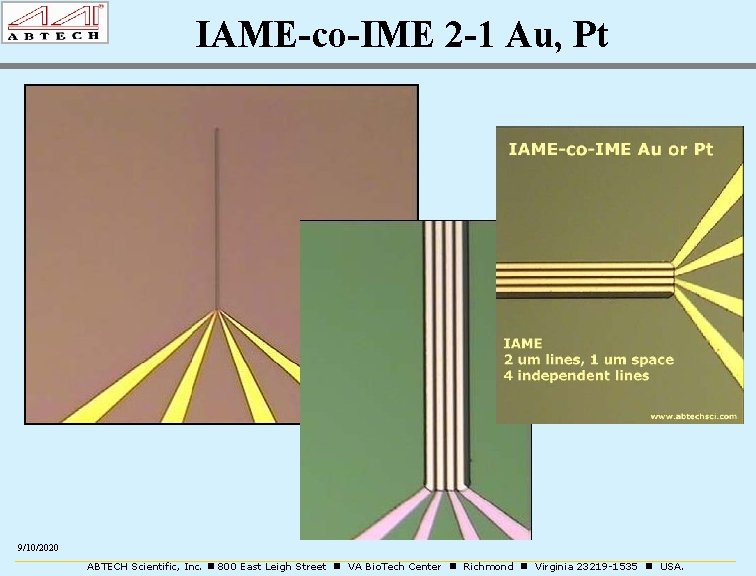 IAME-co-IME 2 -1 Au, Pt 9/10/2020 ABTECH Scientific, Inc. 800 East Leigh Street VA