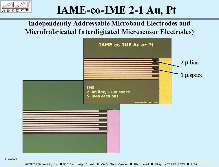 IAME-co-IME 2 -1 Au, Pt Independently Addressable Microband Electrodes and Microfrabricated Interdigitated Microsensor Electrodes)