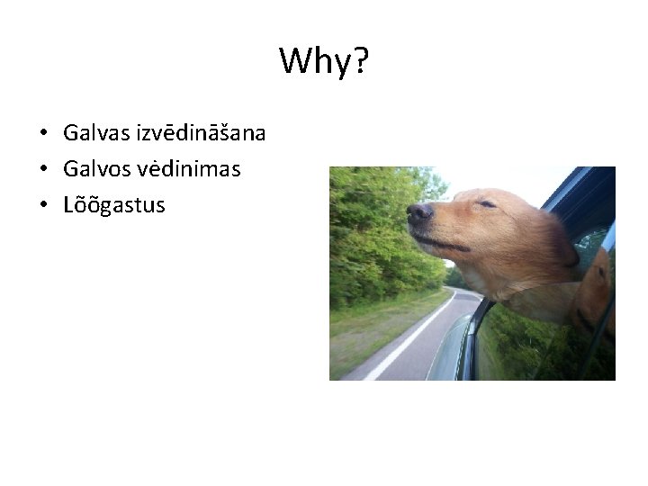Why? • Galvas izvēdināšana • Galvos vėdinimas • Lõõgastus 