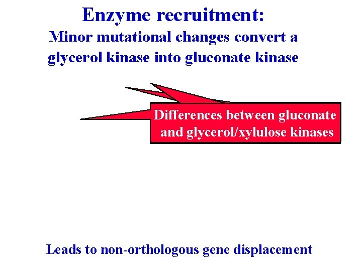 Enzyme recruitment: Minor mutational changes convert a glycerol kinase into gluconate kinase Differences between Enzyme recruitment: Minor mutational changes convert a glycerol kinase into gluconate kinase Differences between