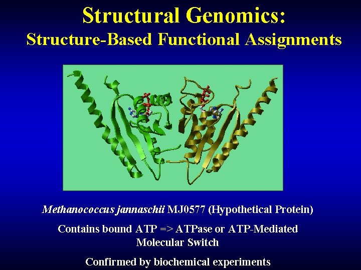 Structural Genomics: Structure-Based Functional Assignments Methanococcus jannaschii MJ 0577 (Hypothetical Protein) Contains bound ATP Structural Genomics: Structure-Based Functional Assignments Methanococcus jannaschii MJ 0577 (Hypothetical Protein) Contains bound ATP