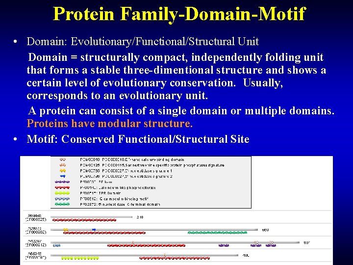 Protein Family-Domain-Motif • Domain: Evolutionary/Functional/Structural Unit Domain = structurally compact, independently folding unit that Protein Family-Domain-Motif • Domain: Evolutionary/Functional/Structural Unit Domain = structurally compact, independently folding unit that