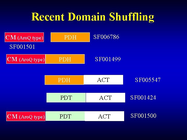 Recent Domain Shuffling CM (Aro. Q type) SF 001501 CM (Aro. Q type) PDH Recent Domain Shuffling CM (Aro. Q type) SF 001501 CM (Aro. Q type) PDH