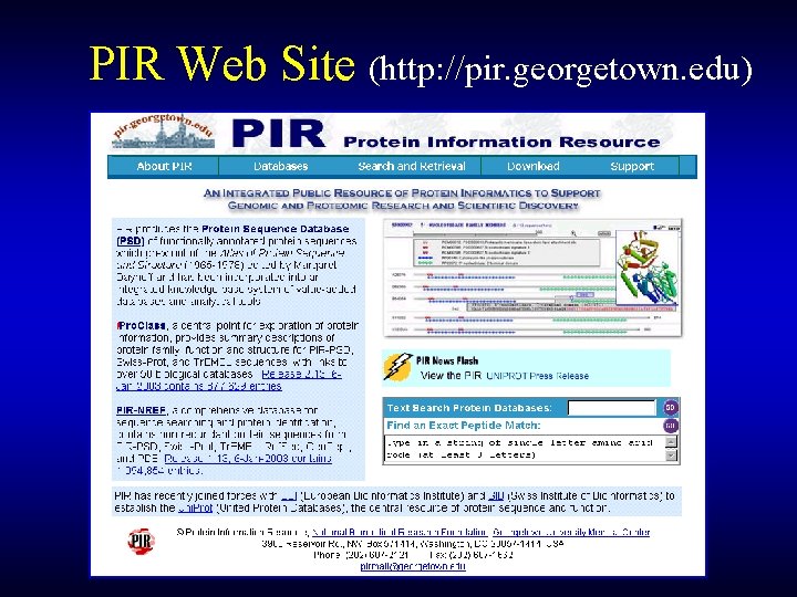 PIR Web Site (http: //pir. georgetown. edu) PIR Web Site (http: //pir. georgetown. edu)