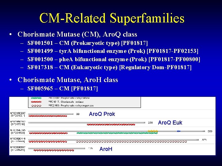 CM-Related Superfamilies • Chorismate Mutase (CM), Aro. Q class – – SF 001501 – CM-Related Superfamilies • Chorismate Mutase (CM), Aro. Q class – – SF 001501 –