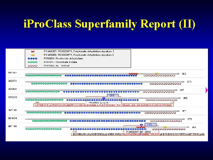 i. Pro. Class Superfamily Report (II) i. Pro. Class Superfamily Report (II)
