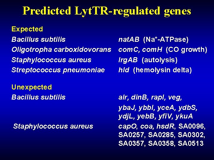 Predicted Lyt. TR-regulated genes Expected Bacillus subtilis Oligotropha carboxidovorans Staphylococcus aureus Streptococcus pneumoniae Unexpected Predicted Lyt. TR-regulated genes Expected Bacillus subtilis Oligotropha carboxidovorans Staphylococcus aureus Streptococcus pneumoniae Unexpected