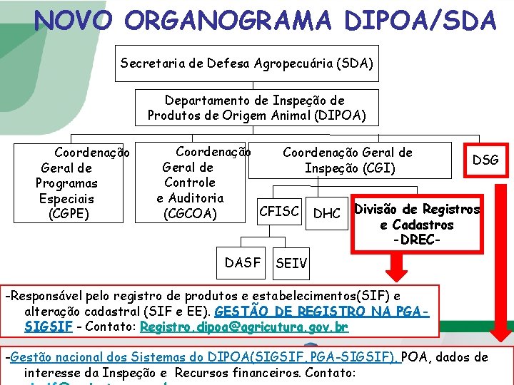 NOVO ORGANOGRAMA DIPOA/SDA Secretaria de Defesa Agropecuária (SDA) Departamento de Inspeção de Produtos de