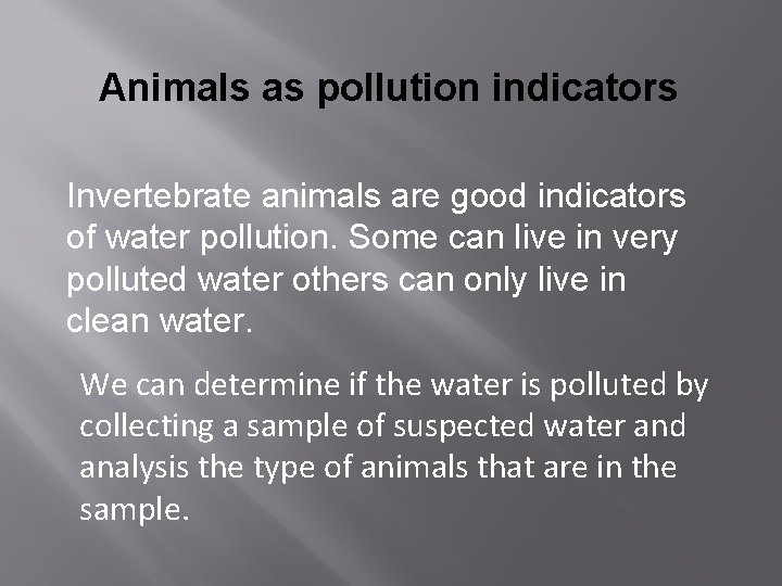 Animals as pollution indicators Invertebrate animals are good indicators of water pollution. Some can