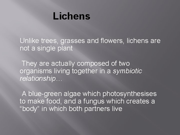 Lichens Unlike trees, grasses and flowers, lichens are not a single plant They are