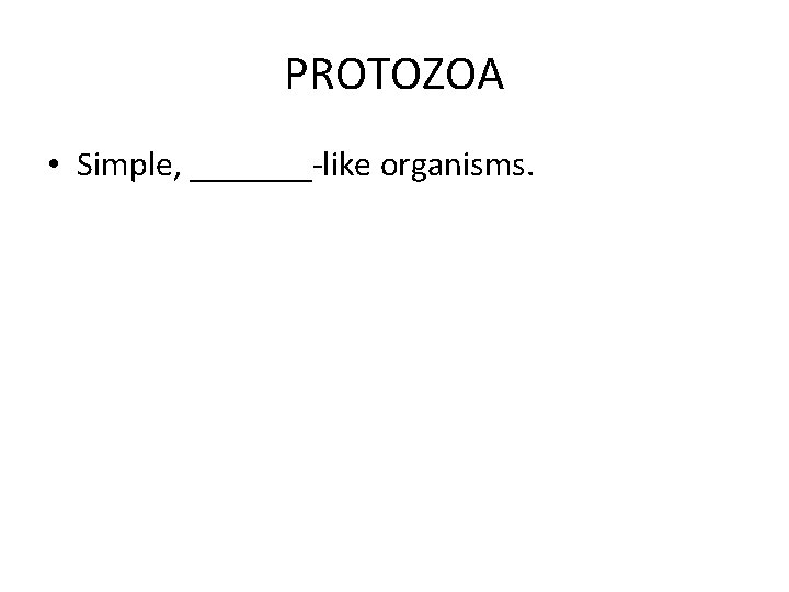 PROTOZOA • Simple, _______-like organisms. 