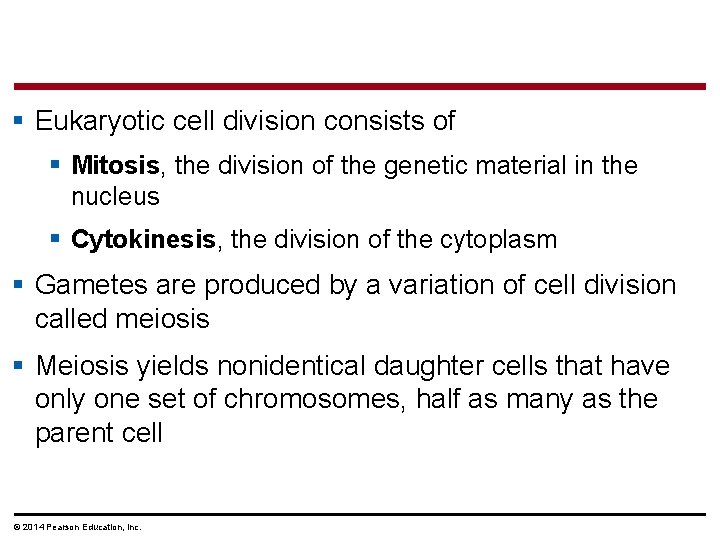 § Eukaryotic cell division consists of § Mitosis, the division of the genetic material