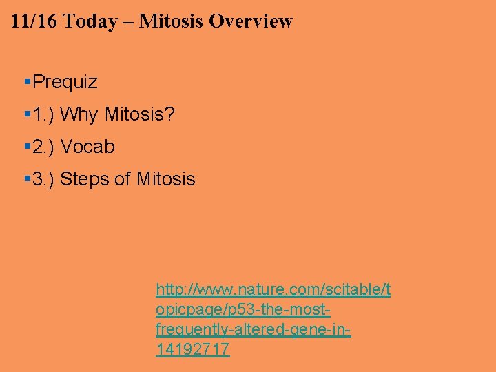 11/16 Today – Mitosis Overview §Prequiz § 1. ) Why Mitosis? § 2. ) 11/16 Today – Mitosis Overview §Prequiz § 1. ) Why Mitosis? § 2. )