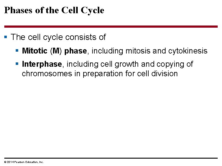 Phases of the Cell Cycle § The cell cycle consists of § Mitotic (M)
