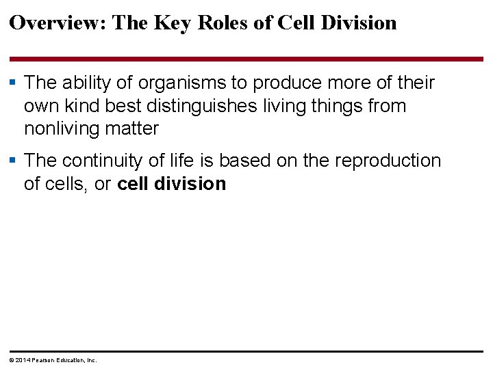 Overview: The Key Roles of Cell Division § The ability of organisms to produce